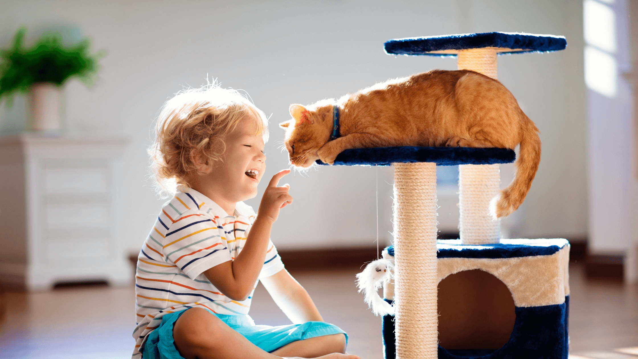A Home That Works for You